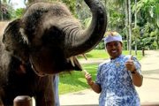 Agus Bali Tourist Guide